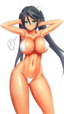 Misc. 4 - Photo #54