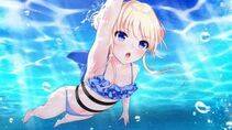 myAlbum - Photo #39