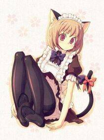 myAlbum - Photo #12