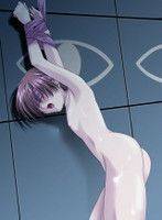 myAlbum - Photo #39