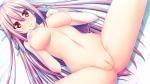 harvest_0054.jpg