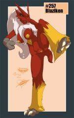 257_blaziken_363862455.jpg
