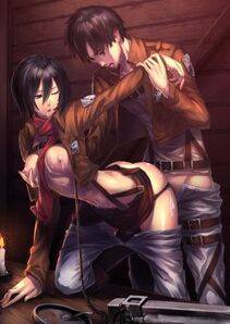 008_1104450_Eren_Jaeger_Mikasa_Ackerman_Shingeki_no_Kyojin_tani_aki2672.png