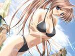 ecchi7E41.jpg