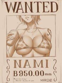 One Piece Nami - Photo #205
