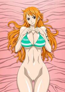 One Piece Nami - Photo #217