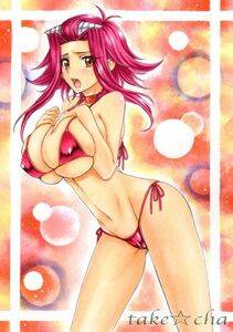 Izayoi Aki - Photo #53