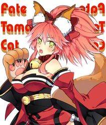 Tamamo no Cat - Photo #29