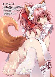 Tamamo no Cat - Photo #79