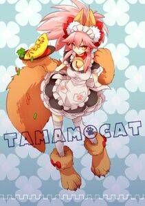 Tamamo no Cat - Photo #153