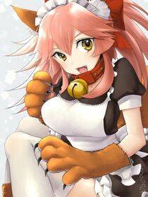 Tamamo no Cat - Photo #194