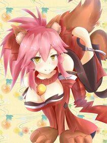 Tamamo no Cat - Photo #216