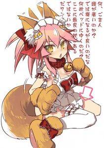 Tamamo no Cat - Photo #237