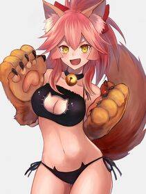 Tamamo no Cat - Photo #308