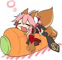 Tamamo no Cat - Photo #309