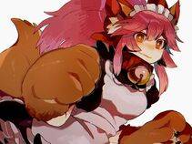 Tamamo no Cat - Photo #313