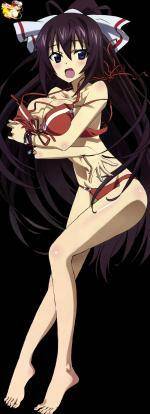 InfiniteStratos-ShinononoHoukiRender7MGRenders.png