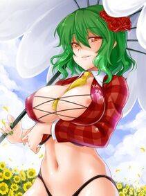 Kazami Yuuka - Photo #3