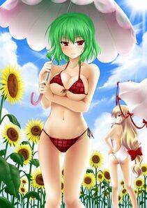 Kazami Yuuka - Photo #9