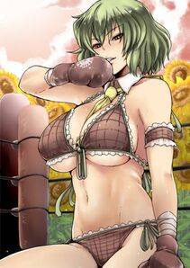 Kazami Yuuka - Photo #11