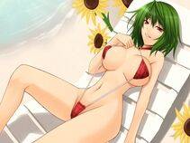 Kazami Yuuka - Photo #31