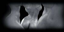 Db-spencer's Works - Photo #209