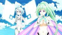Vert - Photo #70