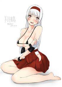 Shoukaku - Photo #13