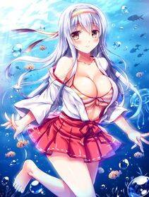 Shoukaku - Photo #48