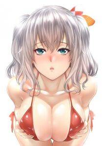 Kashima - Photo #50