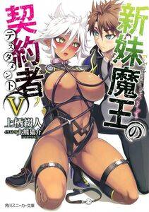 Shinmai Maou no Testament NSFW - Photo #40