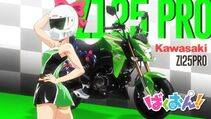 Bakuon - Photo #4