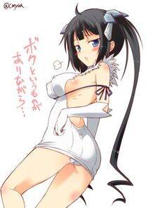 Hestia - Photo #503