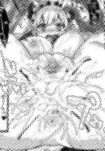 Shindou - Goddess Drop - Photo #24