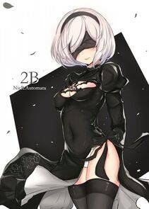 Collection - 2B - Photo #9