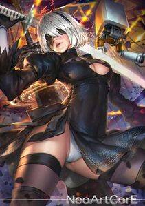 Collection - 2B - Photo #21