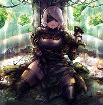 Collection - 2B - Photo #31