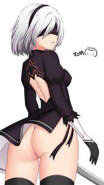 Collection - 2B - Photo #35