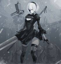 Collection - 2B - Photo #49