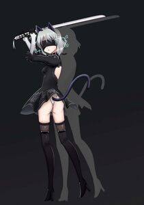 Collection - 2B - Photo #50
