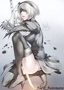 Collection - 2B - Photo #51