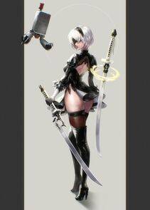 Collection - 2B - Photo #61