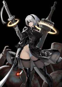 Collection - 2B - Photo #69