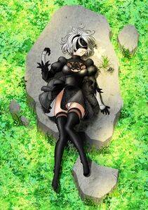 Collection - 2B - Photo #82