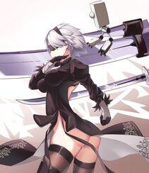Collection - 2B - Photo #85