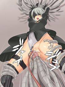Collection - 2B - Photo #87