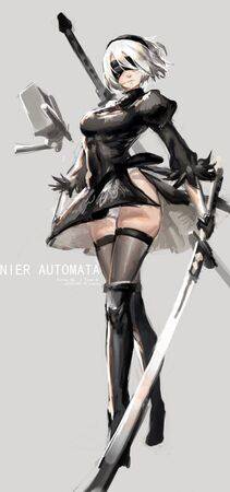 Collection - 2B - Photo #90