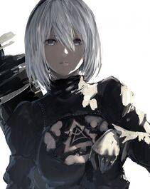 Collection - 2B - Photo #91
