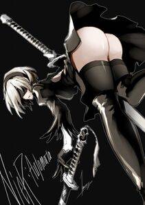 Collection - 2B - Photo #95