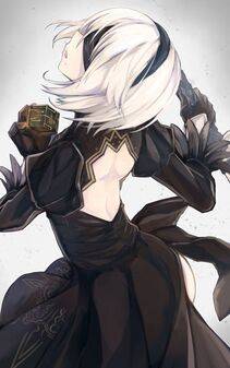 Collection - 2B - Photo #102